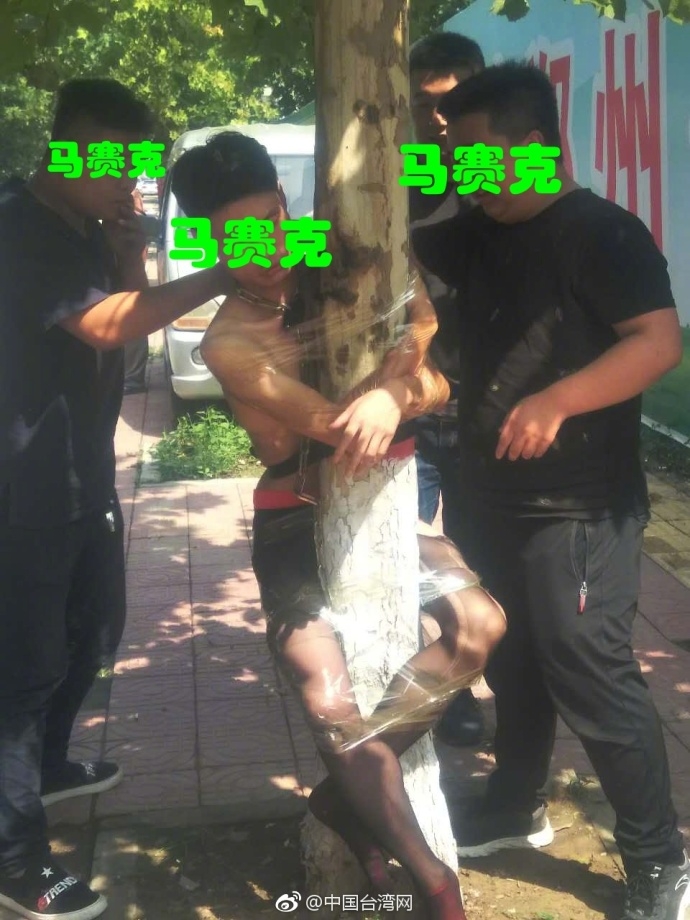 卡通 黄色 网站