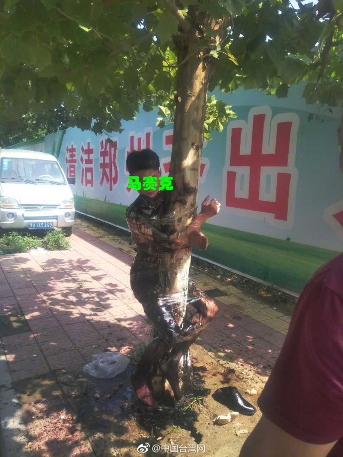 舒琪
