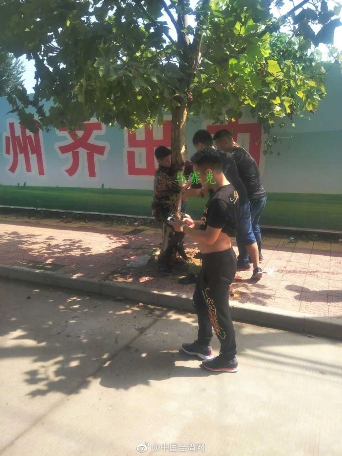 无码原视频