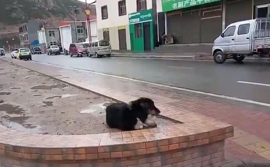 病嬌