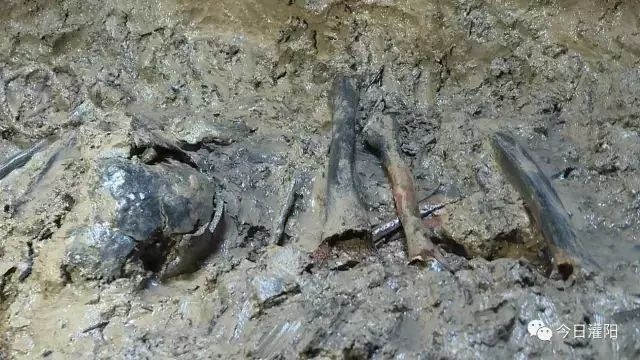 人成在线免费视频