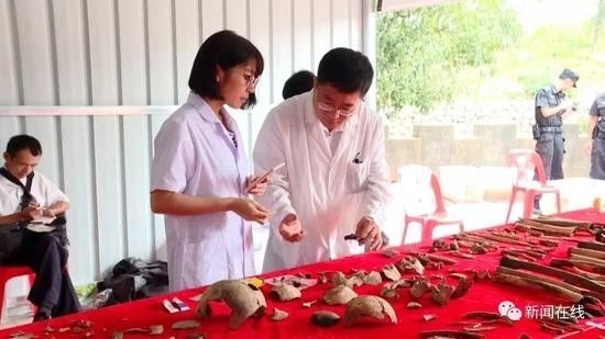免费进入黄片