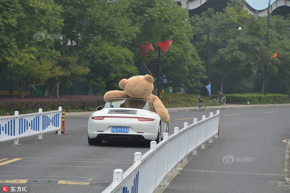 爱情岛vip永久入口
