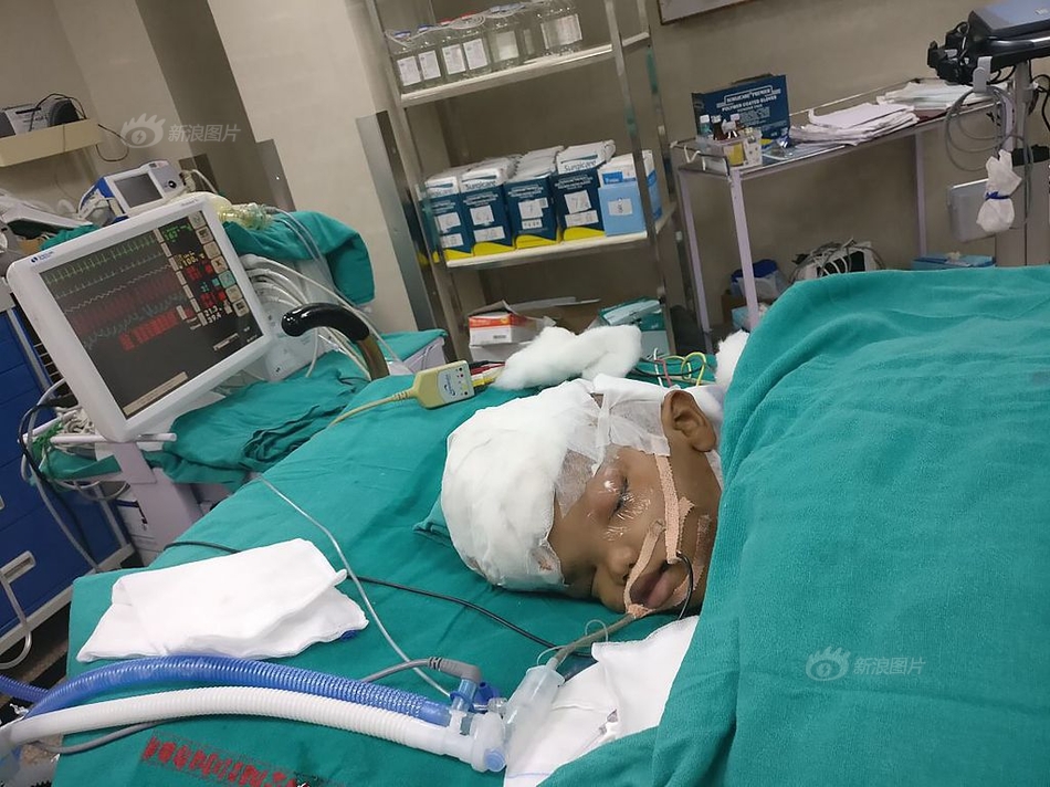 很黄视频下载