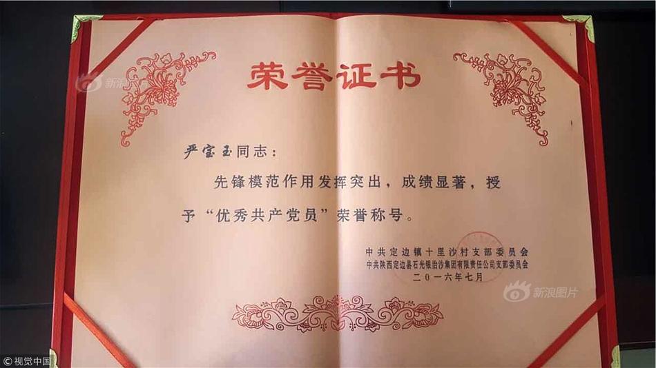 欧美日老妇另类视频