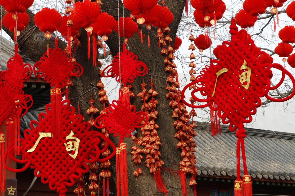 那个网站可以看性爱视频
