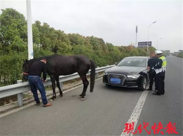 久久波多野结衣