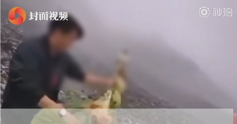 Xxxx性欧美高清Hd