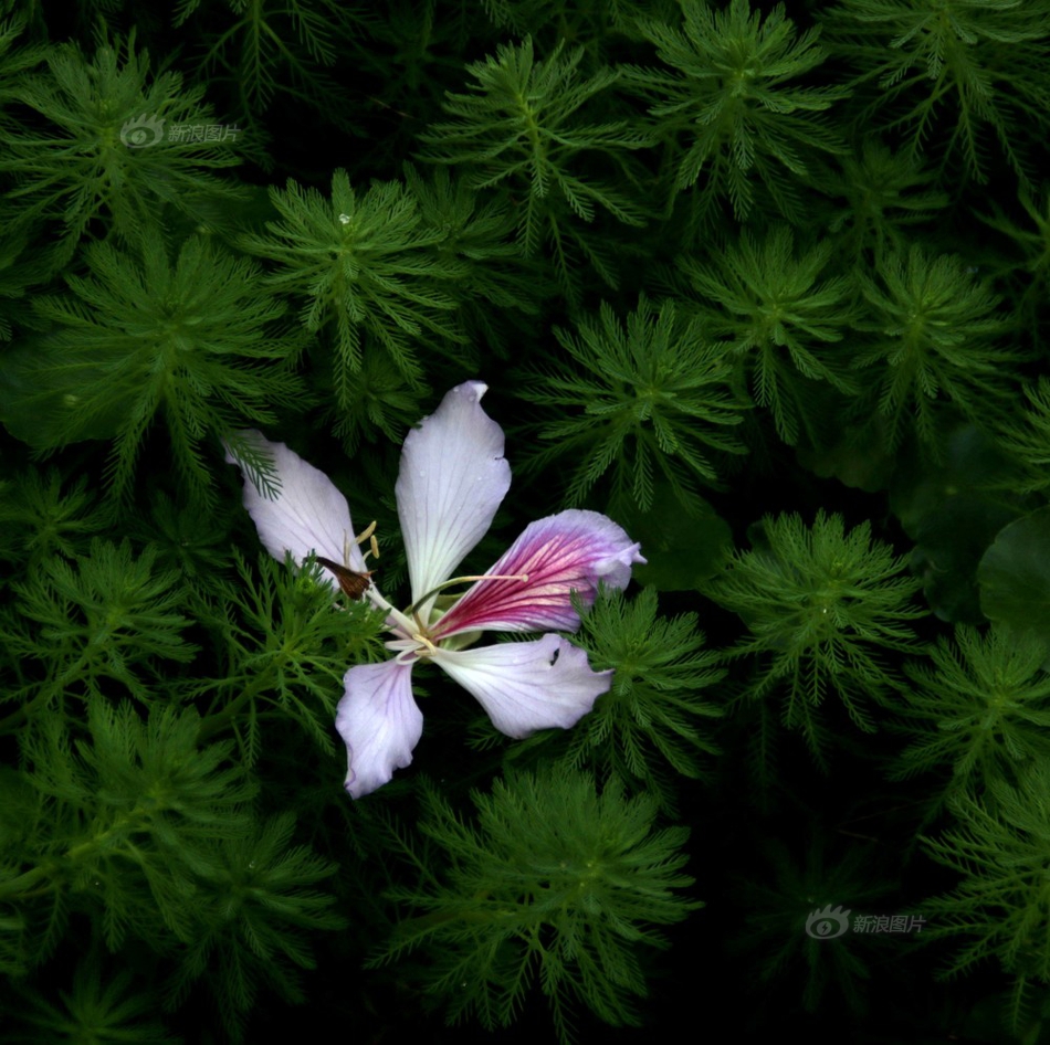 苍井空高潮