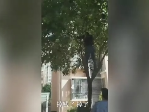 阉割