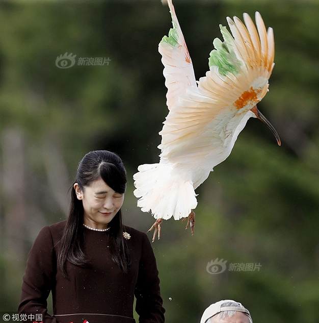 伊人色色直播