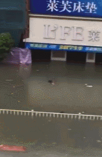 夫妻生活一级黄色片