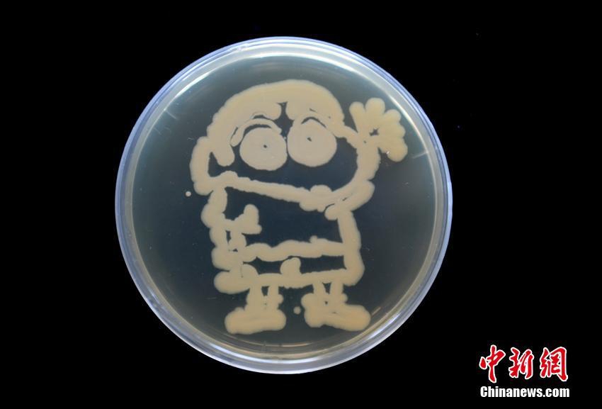 ChinaXXX对白刺激仙踪林