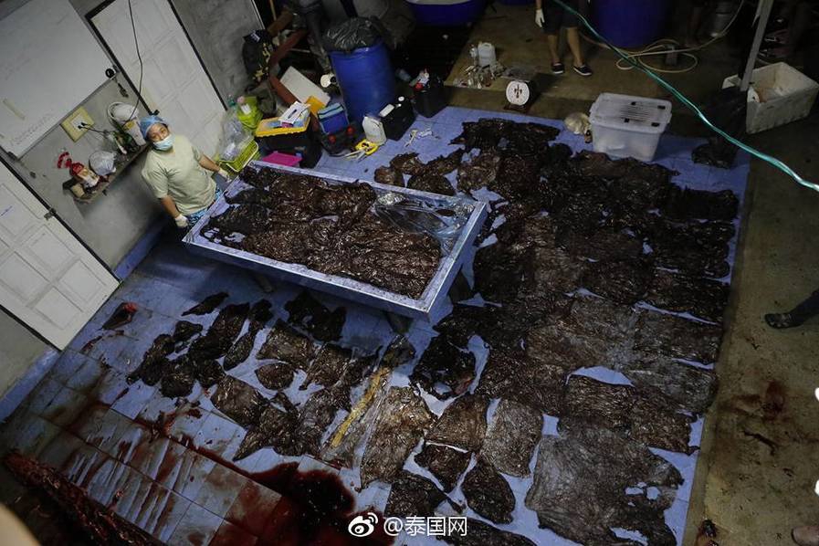 台灣吳夢兒