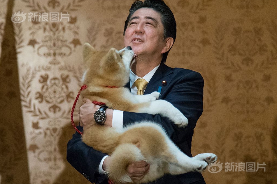 黄色视频网站在线播放