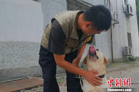 台灣免費三級理论片