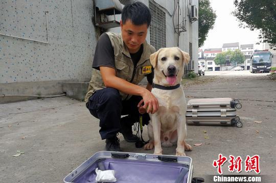 女人被菊爆的真实感受