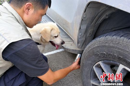 口述被两个男人3p爽