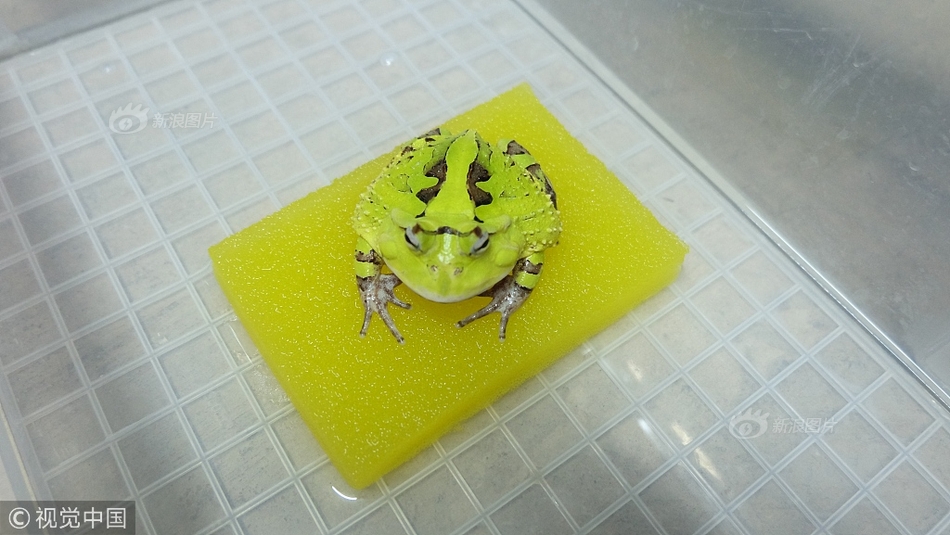 香港媱乱三级片