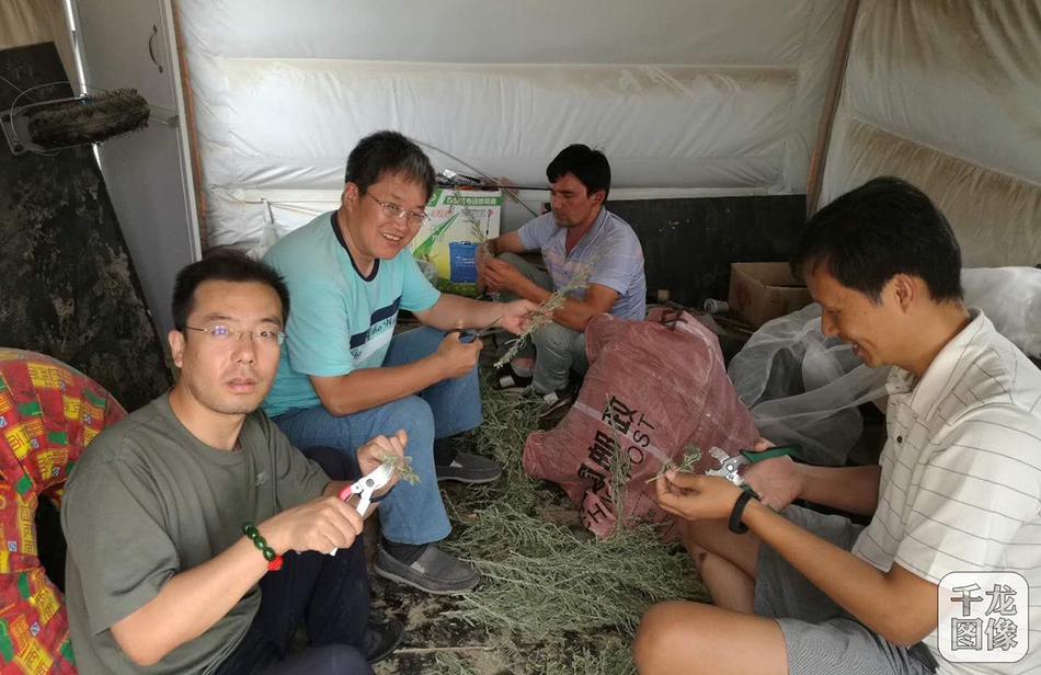 这里只有精品视频