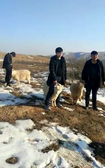 欧美人性猛交多人组特级