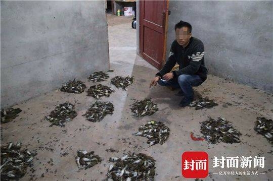 国产精品久久久久久久久久白贞