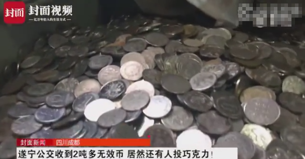 啪啪啪免费