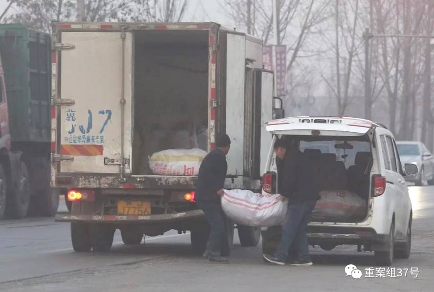 成人 电影 免费 下载