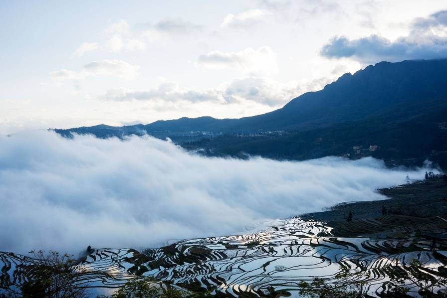 中国老太浓毛毛茸毛