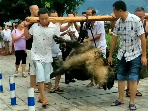 中文字幕无码素人久久伊人