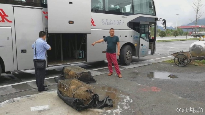 双男主
