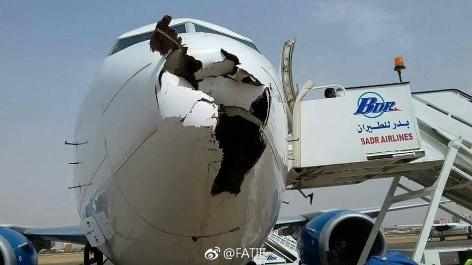 我想找个中国美女日逼吗快点