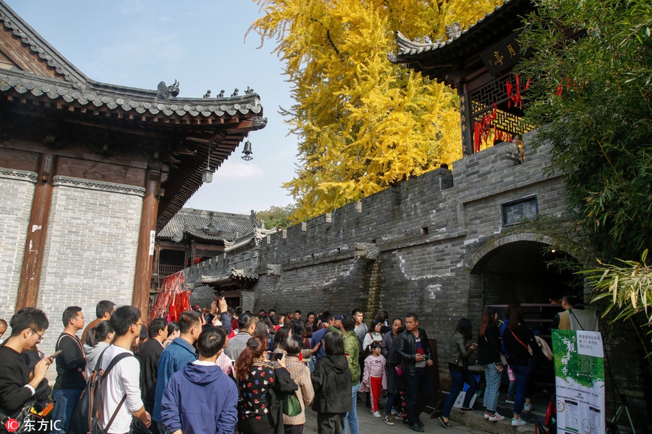 久草新在线