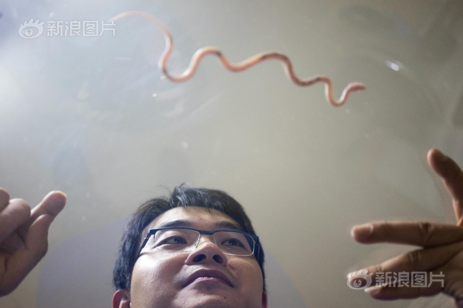三级黄色片三级