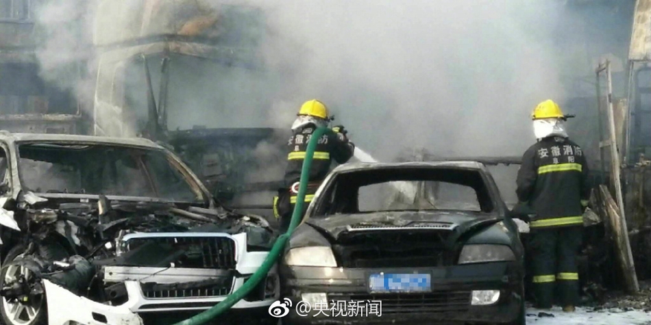 成人毛片18女人毛片真水