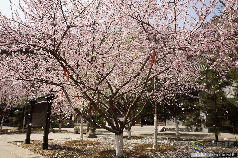 “靠天吃饭”面临挑战，洗车工寻求突围之道