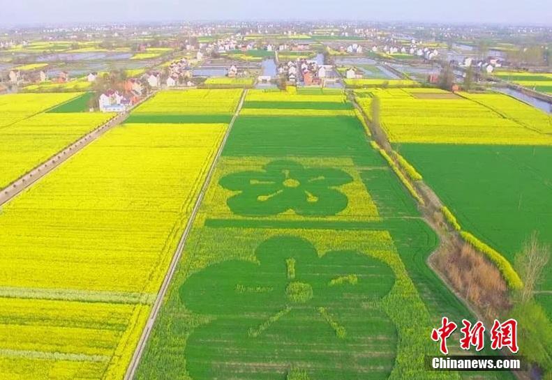 红星中学作品《情深一网 网系藏汉》被评为2019年中国好网民优秀故事及作品展示活动“十大感人故事”