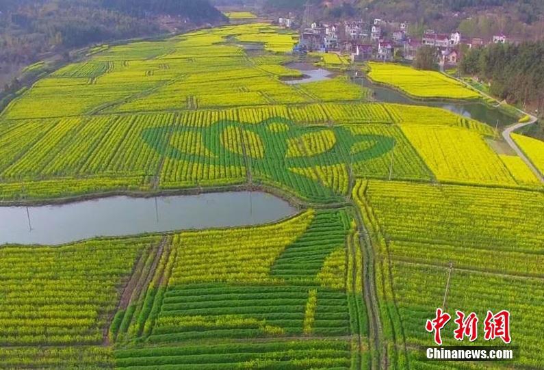 粉嫩小泬23P