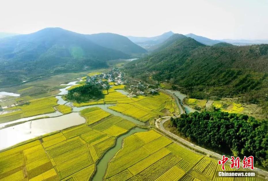 乱一性一交一群