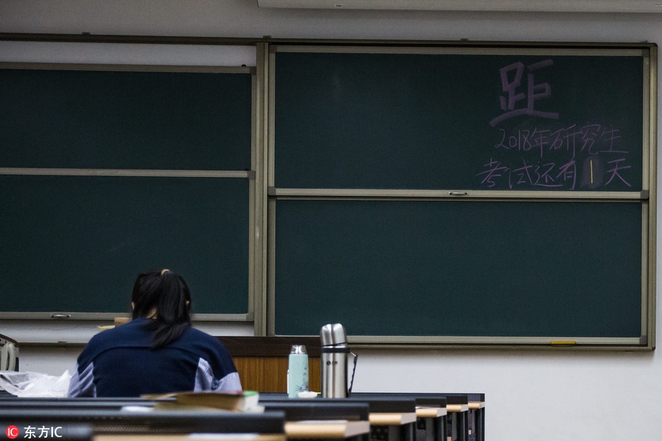 黄片免费区