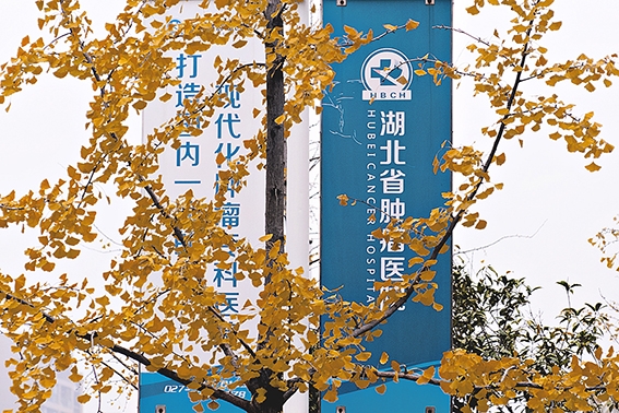 无码内射在线观看