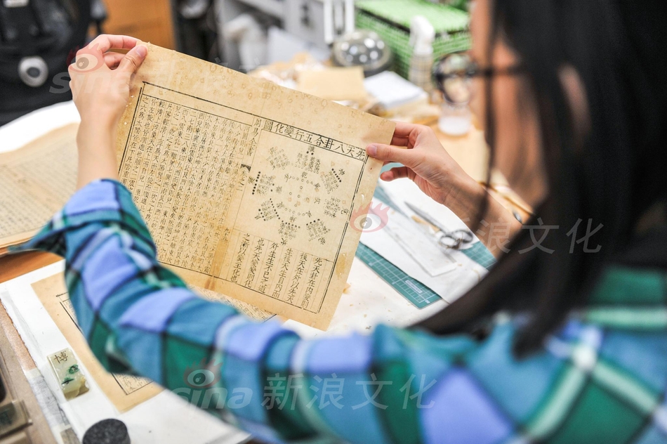 一级美女日逼视频
