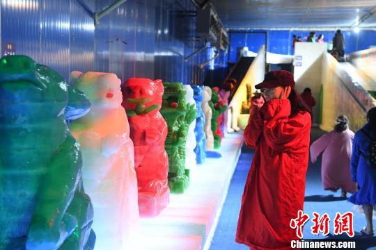 黄色视频网络站在线观看入口
