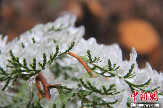 沙丘：阿特雷德斯的崛起