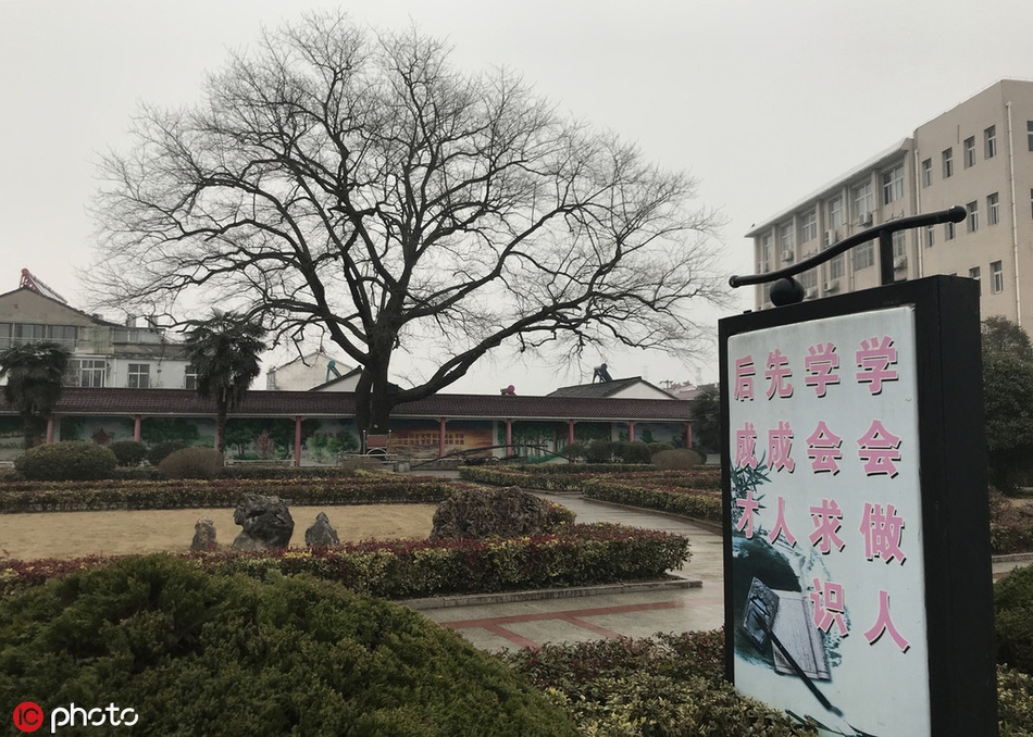 _级黄色网站