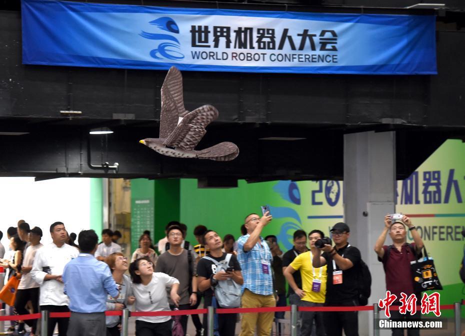 国产精品久久久久久久曹县