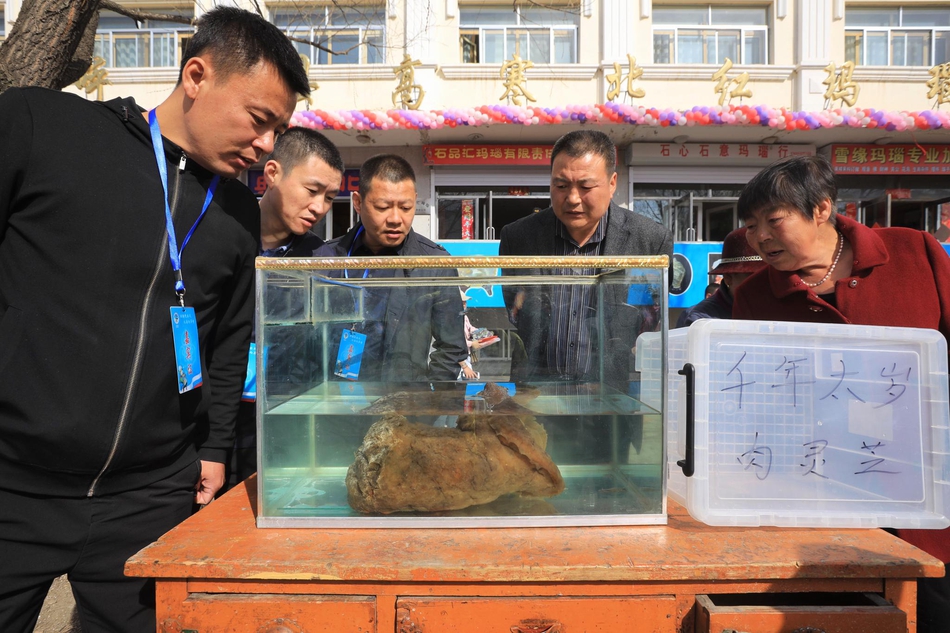 何以中国·缘起良渚丨AI带你梦回五千年前的良渚古国