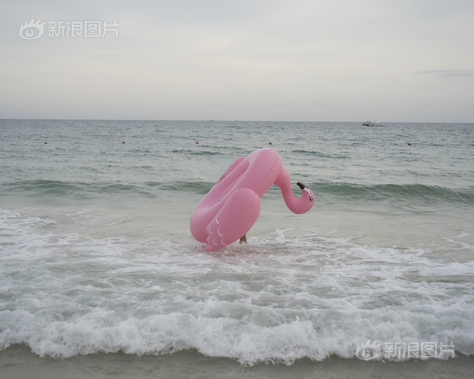特级黄色视频在线