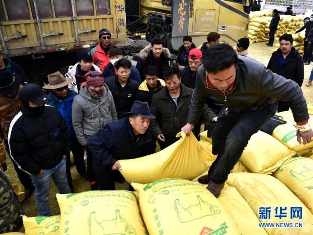 日本游泳教練