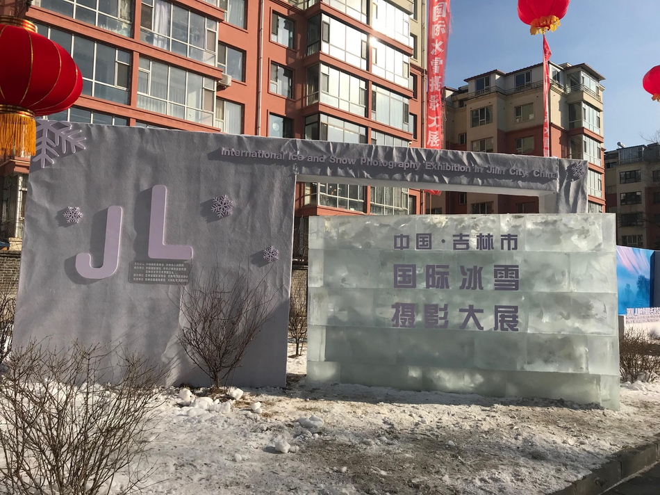 一级A片女人与公狍交酡全过